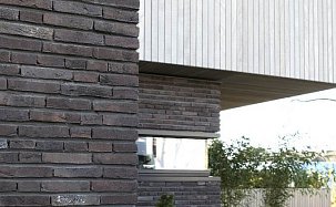 Фасадная плитка из кирпича Vogelensangh Steenfabriek, Rosta 2 Dark brown black sintered - Фото 24