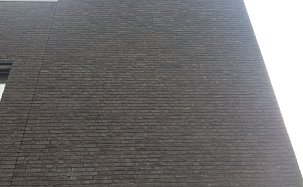 Фасадная плитка из кирпича ENGELS ZWART BLAUW BEZAAGSELD - Фото 