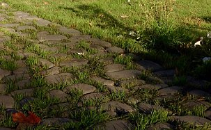 Тротуарная плитка Грин Галет, Серый, h=80 мм - Фото 