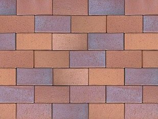 Тротуарная плитка | Тротуарный кирпич ABC-Klinkergruppe Herbstlaub-geflammt, 200х100х18 мм.