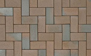 Тротуарная плитка | Тротуарный кирпич ABC-Klinkergruppe Kiel-Heidebunt, 200х100х52 мм - Фото 