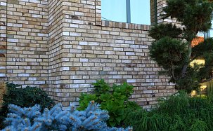 Фасадная плитка из кирпича Randers Tegl CANYON - Фото 1